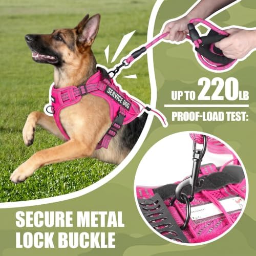 Dog Harness and Leash Set for Small Dogs, No Pull Tactical Dog Harness - Image 4