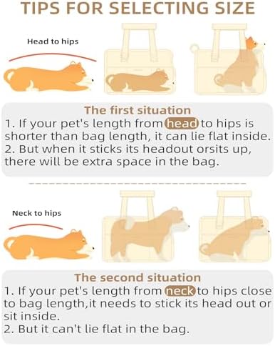 ONECUTE Dog Carrier for Small Dogs Rabbit cat - Image 3