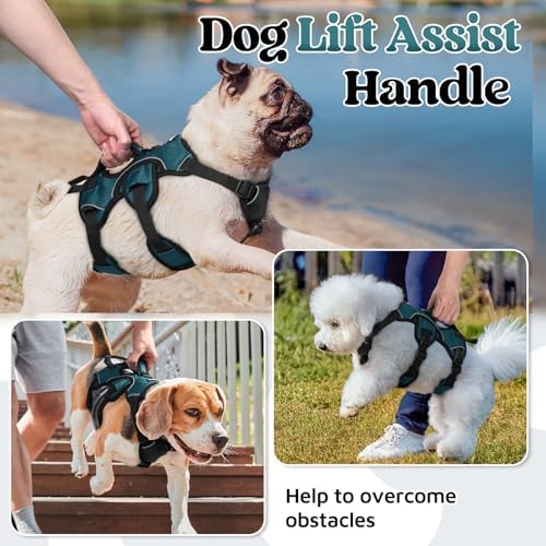 rabbitgoo Escape Proof Dog Harness - Image 3