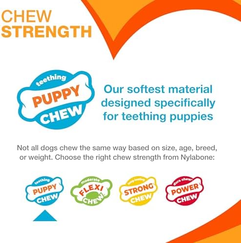 Nylabone Puppy Chew Teething Bone and Ring Bone Dog Chew Toys - Image 5