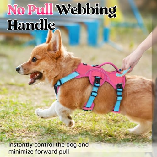 rabbitgoo Escape Proof Dog Harness - Image 4