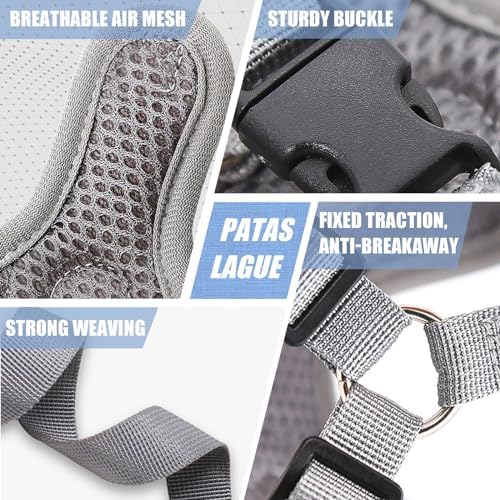 Patas Lague Dog Harness with Leash Set - Image 6