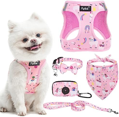 PUPTECK Dog Harness, Collar and Leash Set No Pull by PUPTECK