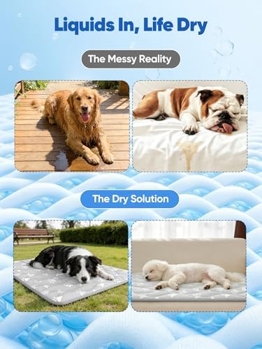 Rywell 44x32in Dog Cooling Mat - Image 3