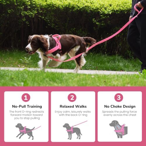 Didog No Pull Dog Harness for Large Dogs, Soft Flannel Padded - Image 4