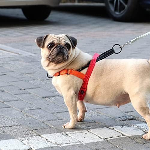 Didog No Pull Dog Harness for Medium Dogs, Soft Padded Handle - Image 5