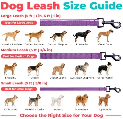 Best Pet Supplies Voyager Nylon Dog Leash - 6ft Purple - Image 6