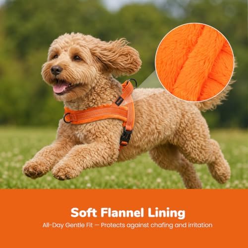 Didog No Pull Dog Harness for Small Dogs, Soft Flannel Padded - Image 2
