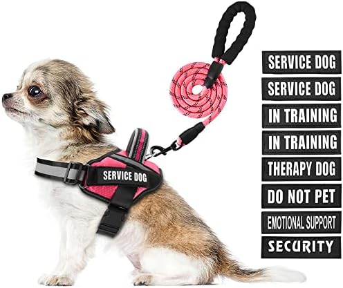 Service Dog Vest Harness and Leash Set, Animire in Training Dog Harness by Animire