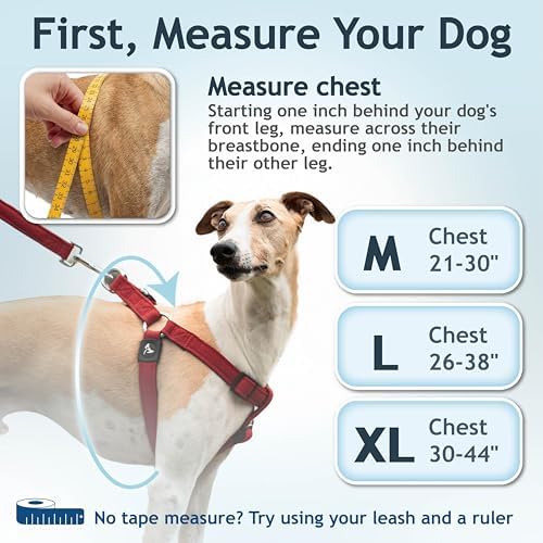 No Pull Dog Harness Medium Size Dog | Adjustable Heavy Duty Pet Harness - Image 3