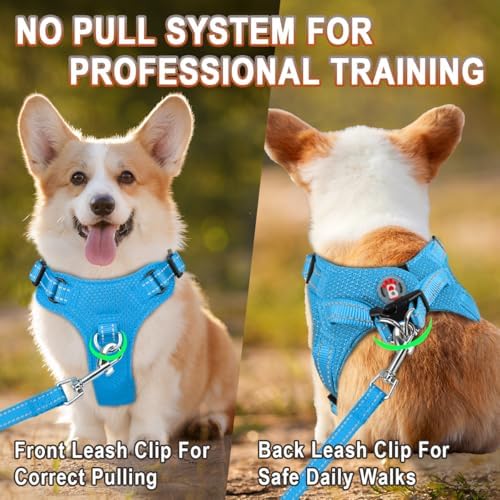 BARKBAY Small Dog Harness, No Pull Puppy Harness, Step-in Dog Vest - Image 5