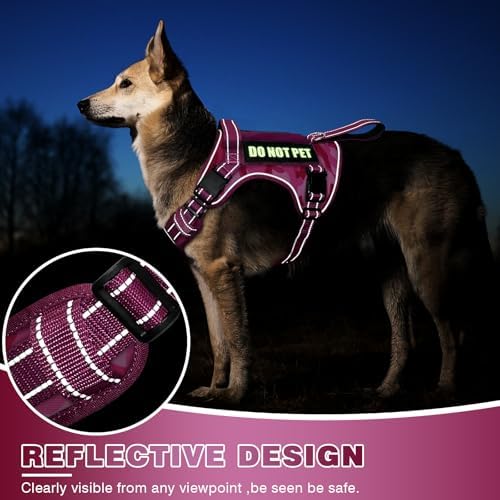 WINSEE Tactical Dog Harness, No Pull Dog Harness - Image 4