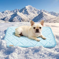 PPOLCA Waterproof Cooling Mat for Medium Dogs 21x29, Light Blue by PPOLCA