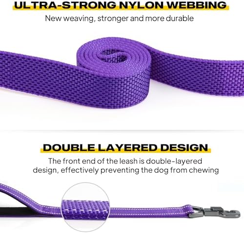 Fida 10 FT Heavy Duty Dog Leash, Dual Padded Handles - Image 5