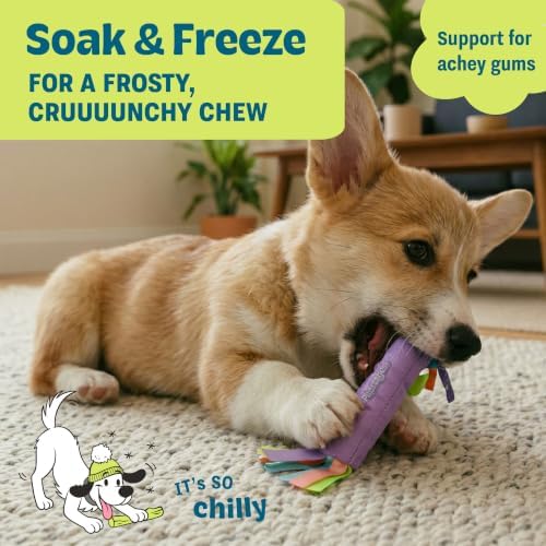Cool Teething Stick Dental Dog Chew Toy, Soak & Freeze - Image 6