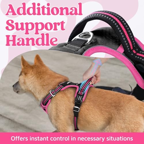 rabbitgoo Dog Harness Medium Sized, No Pull 3 Buckles Easy On & Off - Image 3