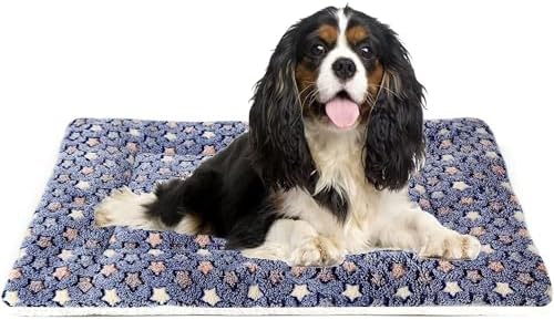 Mora Pets Dog Crate Pad Bed Ultra Soft Pet Mat Star Print Blue 29 x 21 Inch by MoraPets