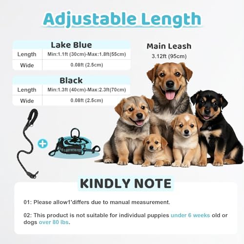Double Dog Leash - Image 2