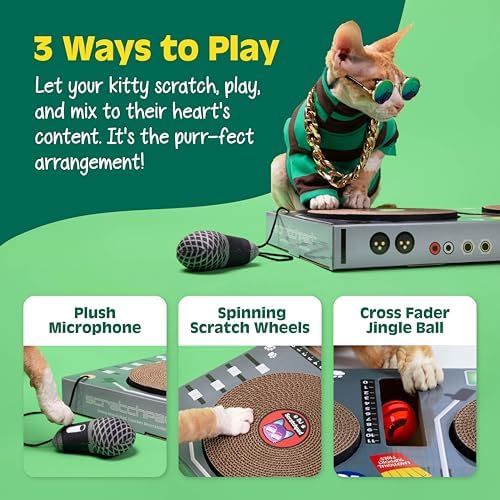 DJ Scratchpad Enrichment Cat and Kitten Toys - Image 4