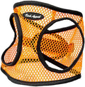 Bark Appeal Netted Step-in Dog Harness by BarkAppeal