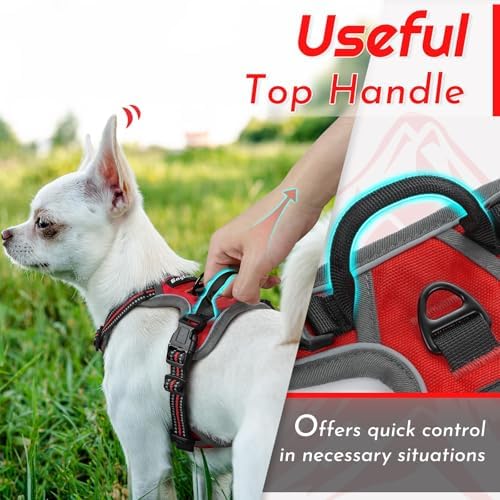 Eagloo Dog Harness for Small Dogs, No Pull Pet Vest - Image 5