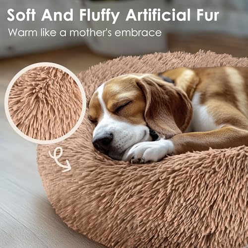 Hoewina Dog & Cat Bed for Indoor Cats, 20in Calming Donut Bed - Image 4