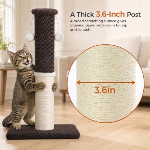 Made4Pets Cat Scratching Post - Image 4