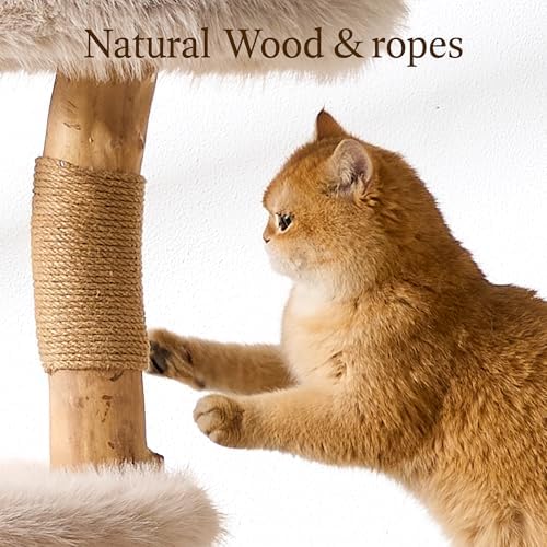 HITTITE Natural Wood Cat Tree Tower - Image 6