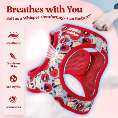 rabbitgoo Dog Harness Small Sized and Leash Set, Step-in Puppy Pet Vest - Image 4
