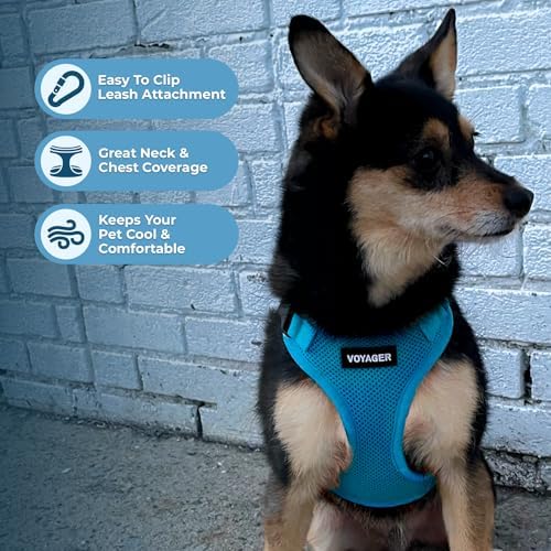 Voyager Step-in Lock Dog Harness - Image 3