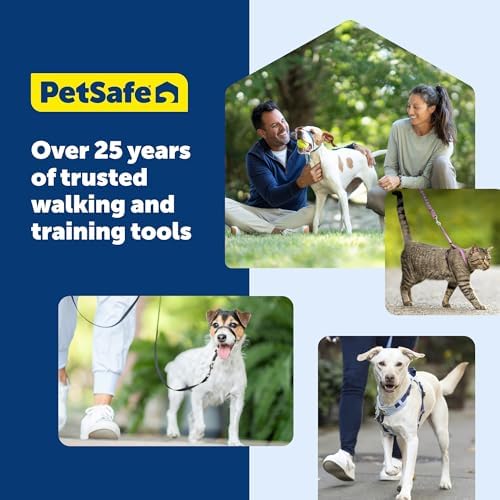 PetSafe Nylon Dog Leash, Raspberry Pink, 3/4 in x 4 ft - Image 7