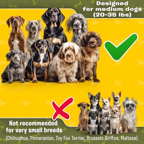 Pet Dreamland Exquisite Double Dog Coupler No Tangle Swivel - Image 2