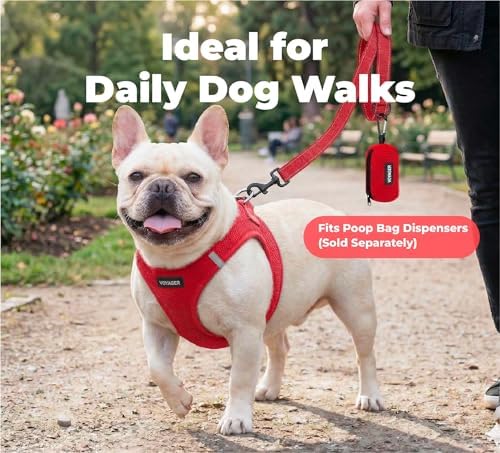 Best Pet Supplies Voyager Nylon Dog Leash - 6ft Red - Image 3