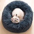 Cat Beds for Indoor Cats by Unknown