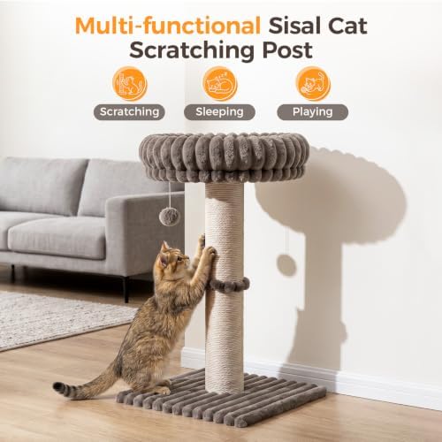 Avont Modern Cloud Cat Scratching Post - Image 2