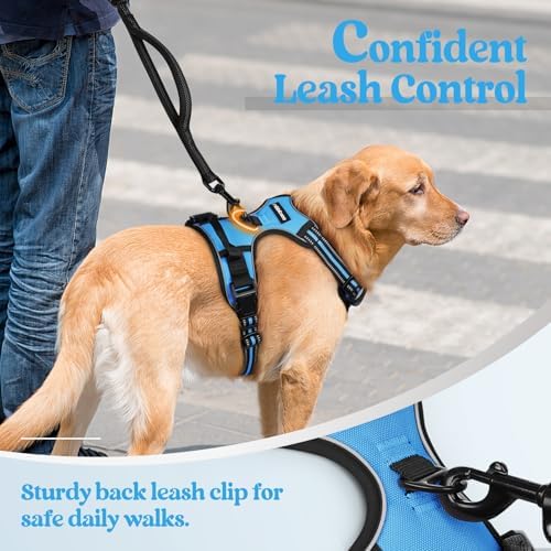 rabbitgoo Dog Harness, No Pull for Small Dogs - Image 6