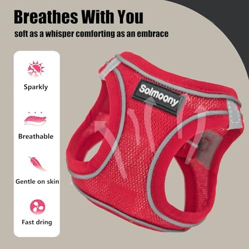 Solmoony Sparkly XS Dog Harness and Leash Set, Step in Soft Light Puppy Vest - Image 4