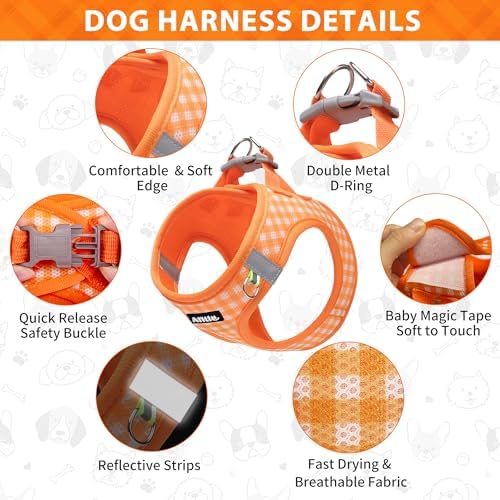 AIITLE Step in Small Dog Harness and Leash Set, Puppy Pet Vest - Image 2