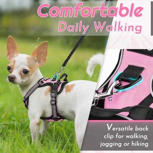 Eagloo Dog Harness for Small Dogs, No Pull Pet Vest - Image 4