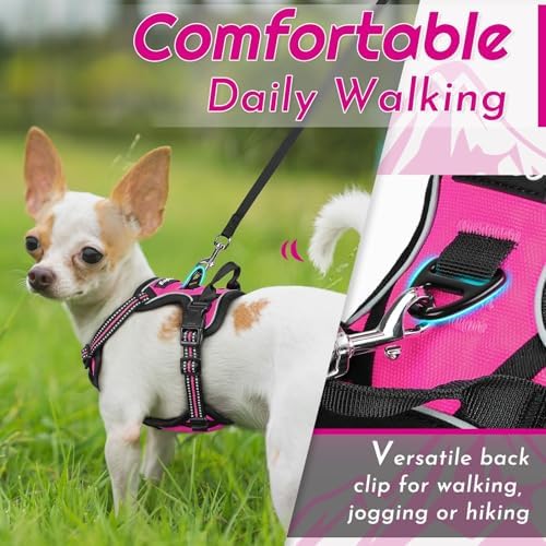 Eagloo Dog Harness for Small Dogs, No Pull Pet Vest - Image 4