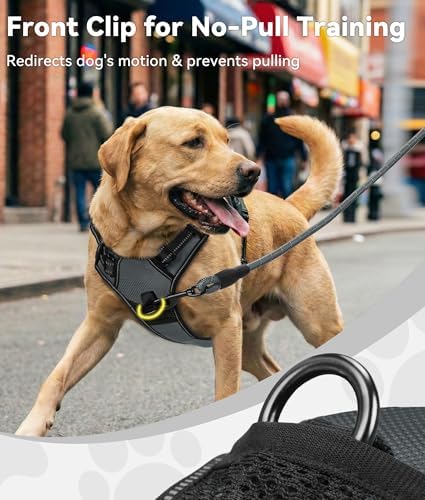 Joytale No Pull Dog Harness for Small Dogs, Front Clip - Image 2