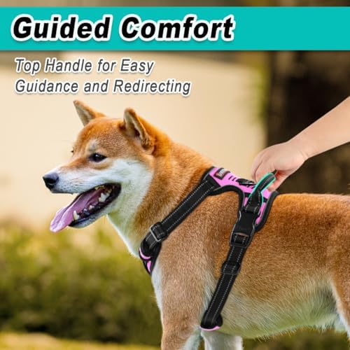 BARKBAY Dog Harness for Small Sized Dog No Pull 2 Leash Clips Dog Vest - Image 4