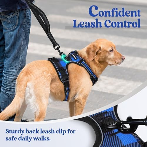 rabbitgoo Dog Harness, No Pull for Small Dogs - Image 6
