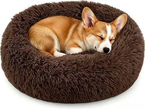 Calming Donut Dog and Cat Bed for Indoor Cats, Anti-Anxiety Round Fluffy Soft by Homeuslynn