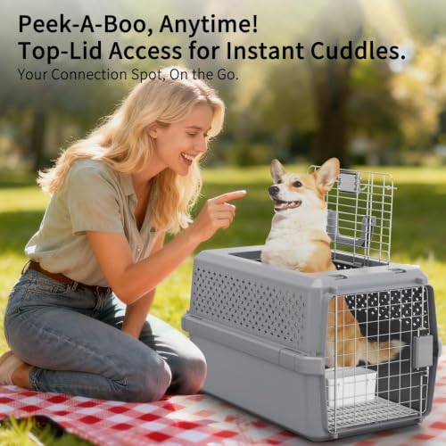 RIZZARI Hard-Sided Dog Carrier: Portable Travel Crate - Image 6