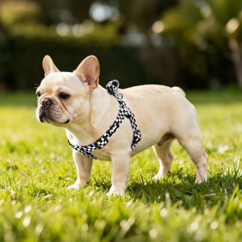 PUPTECK No Pull Dog Harness Medium Sized Step-in Adjustable Puppy Vest - Image 6