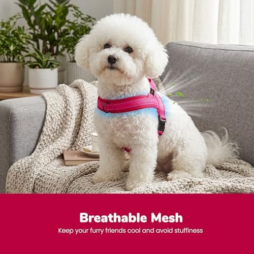 Didog No Pull Dog Harness for Small Dogs, Breathable Mesh, Hot Pink - Image 2