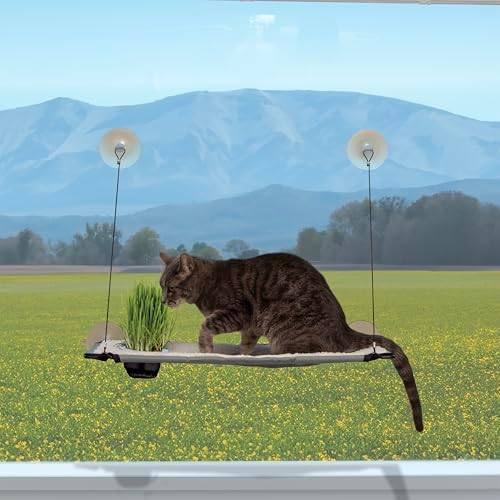 K&H Cat Window Perch, Window Lounger by KHPetProducts