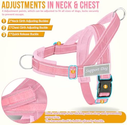 Lukovee No Pull Dog Harness and Leash Set, Soft Padded - Image 3