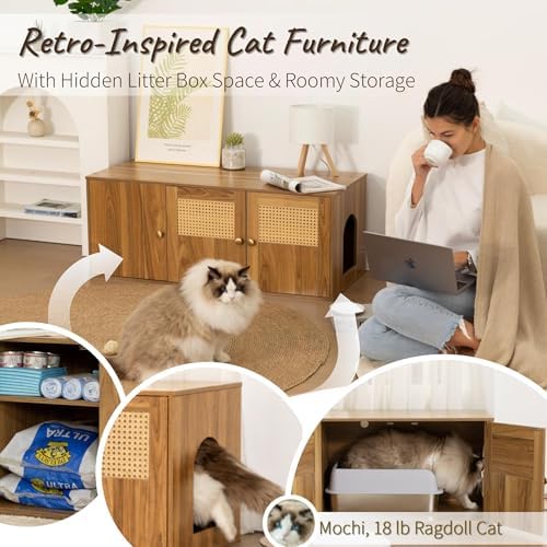 Cat Litter Box Enclosure Furniture - Image 2